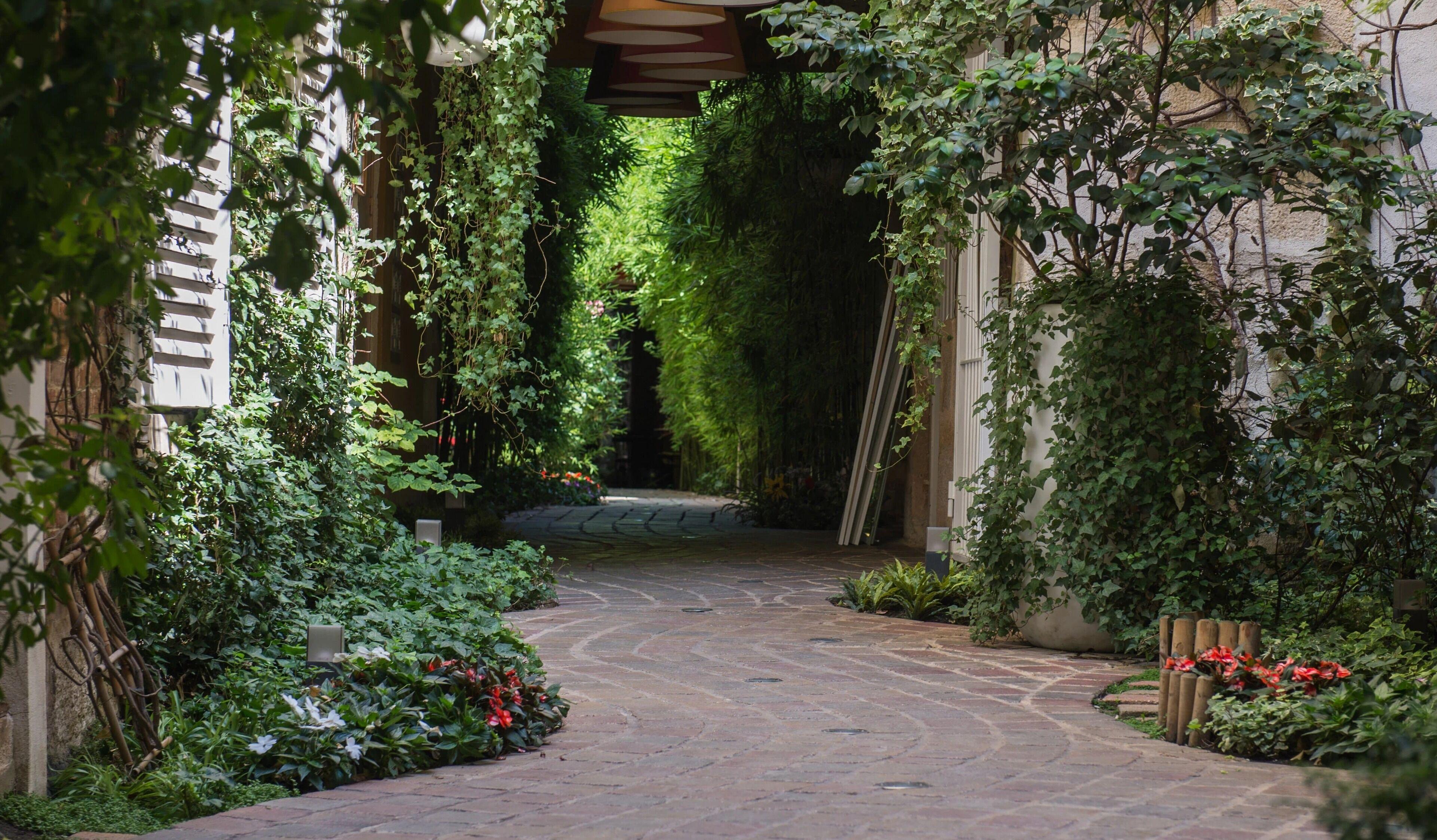 Les Patios Du Marais 1